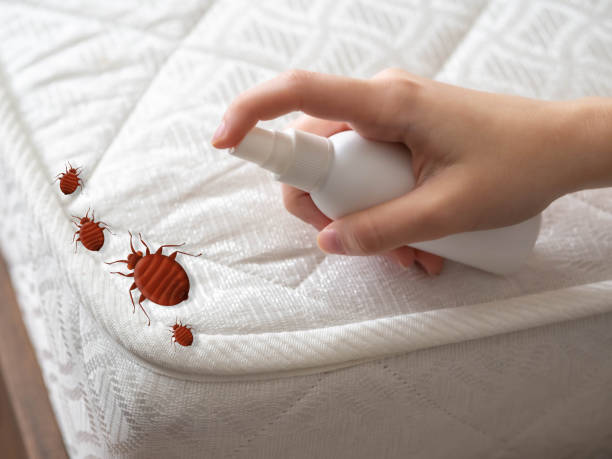 Pest Control Cost in Sutter Creek, CA