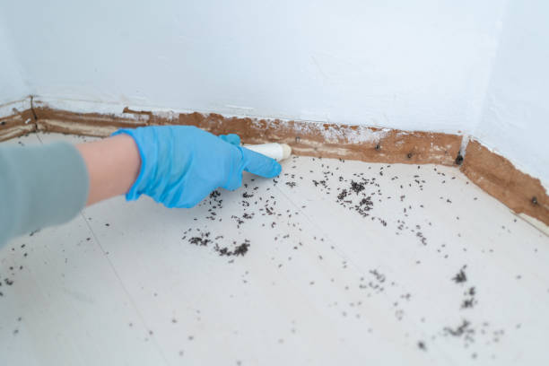 Best Pest Prevention Services  in Sutter Creek, CA