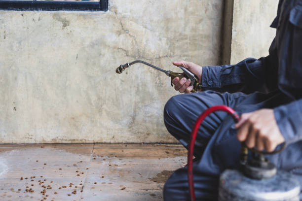 Best Affordable Pest Control Services  in Sutter Creek, CA